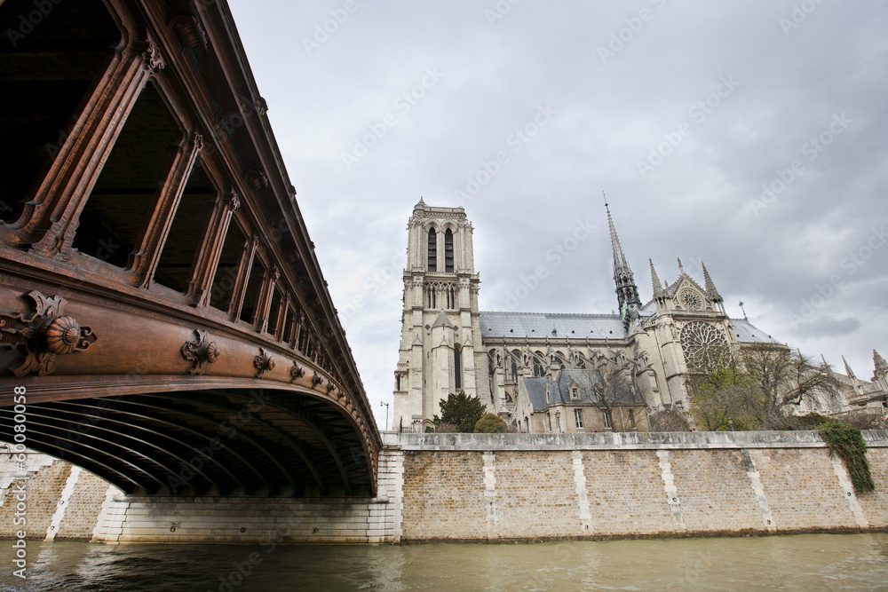 Fototapeta premium Side View of Notre Dame and Seine River