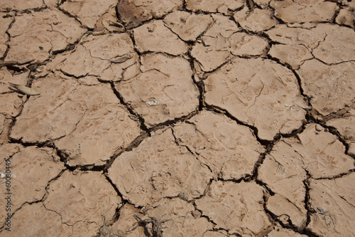 Close-up view of dry cracked soil