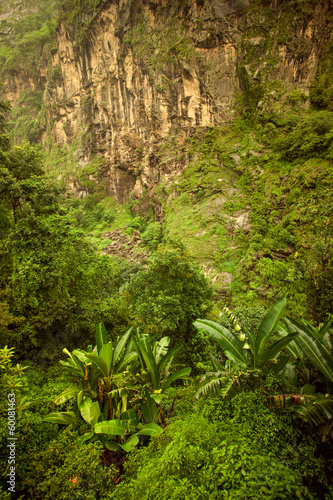 Beautiful Asian landscape