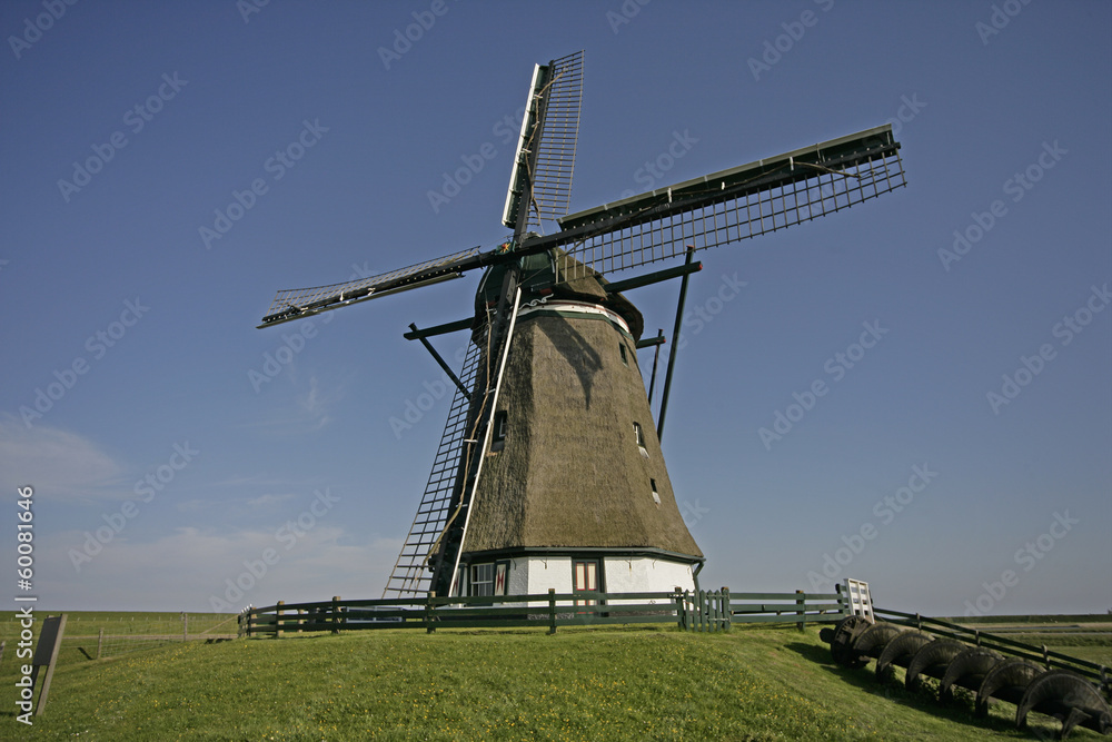 WINDMILL.Molen Het Noorden, Texel, Holland