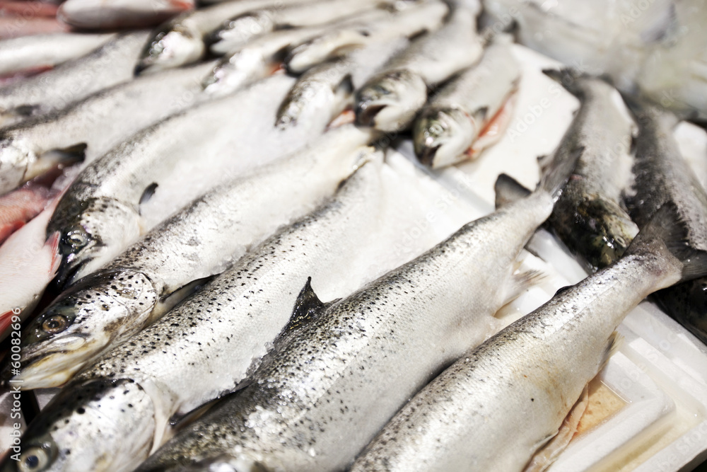 Close-up of freshly caught fishes in market