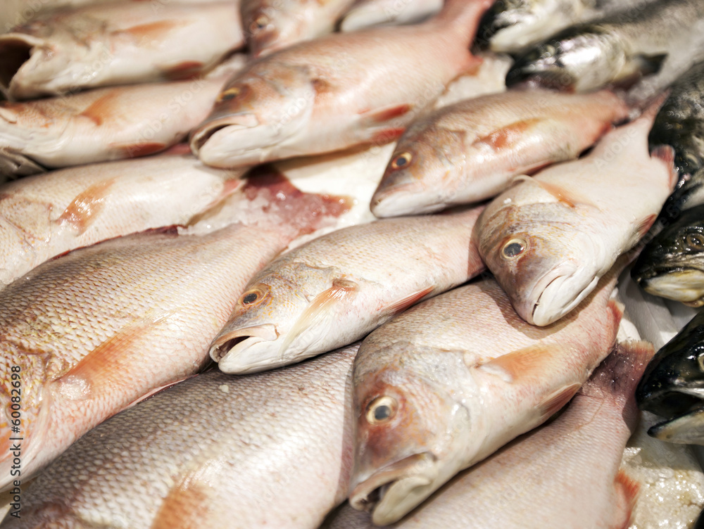 Close-up of freshly caught fishes in market