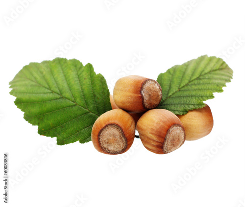 Hazelnuts isolated on white background