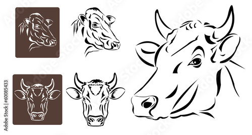 Line art of cow's head