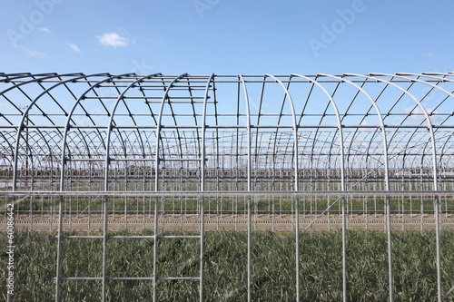 Wallpaper Mural ビニールハウス Torontodigital.ca