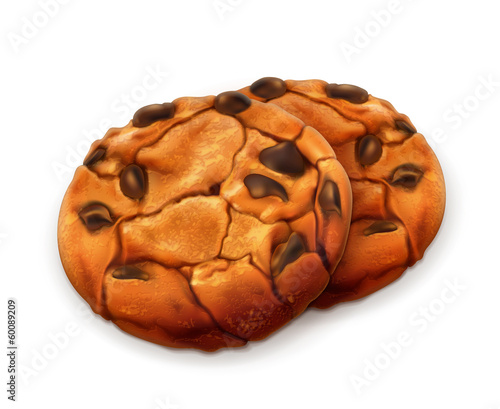 Chocolate cookies, detailed vector
