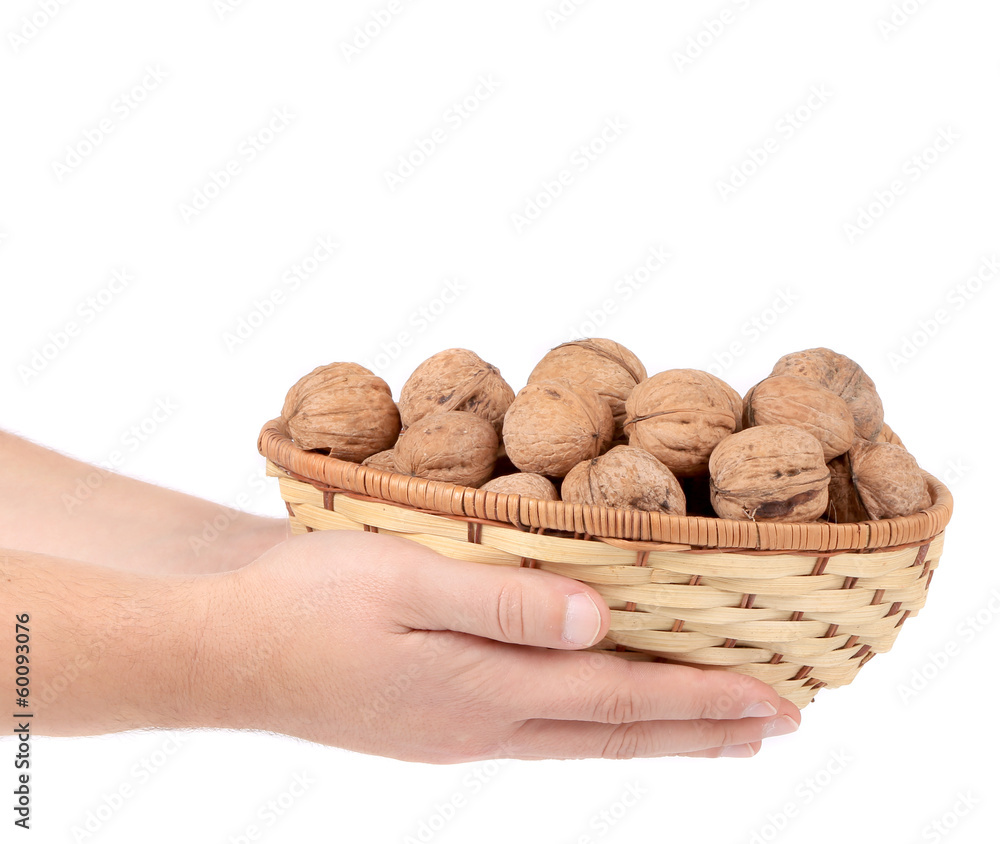Basket of walnuts in hands. Basket of walnuts in hands.