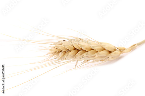 Obraz na plátne Close up of wheat ear.