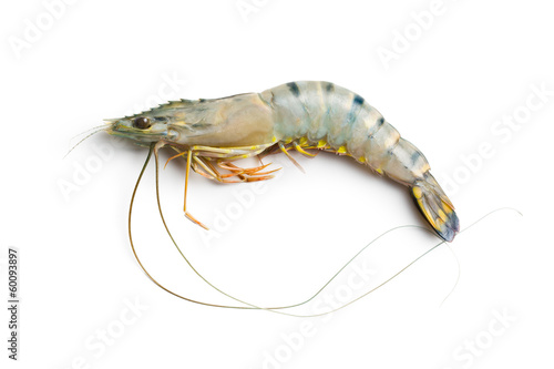 raw tiger shrimp