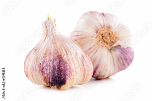 garlic bulb isolated