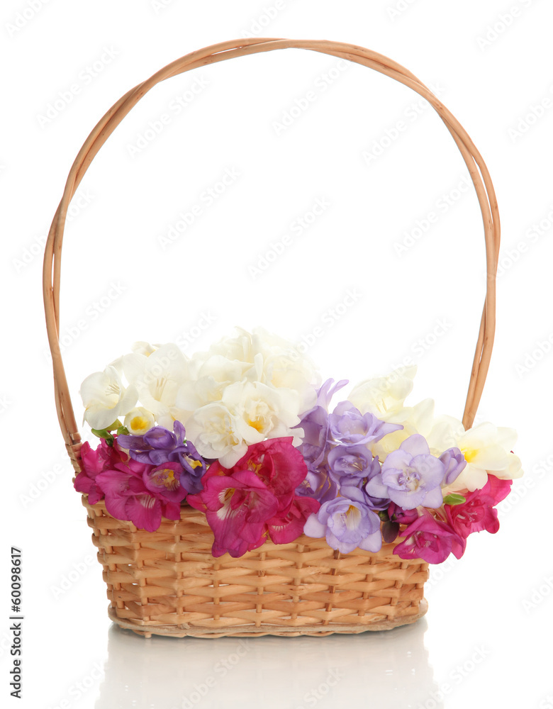 Beautiful bouquet of freesias in basket, isolated on white