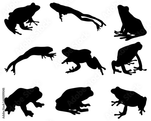 Black silhouettes of  frog, vector