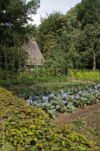 Gemüsegarten