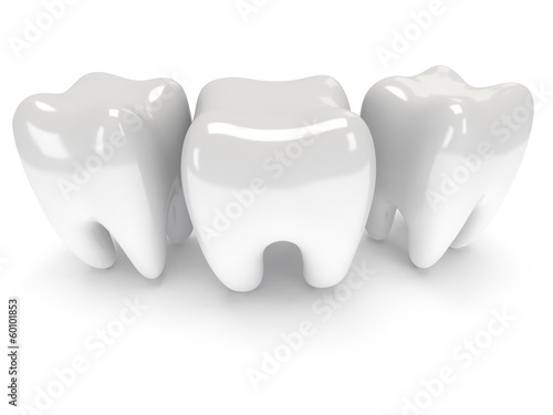 Teeth isolated on white back.