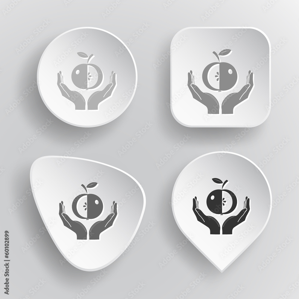 apple in hands. White flat vector buttons on gray background. apple in hands. White flat vector buttons on gray background.