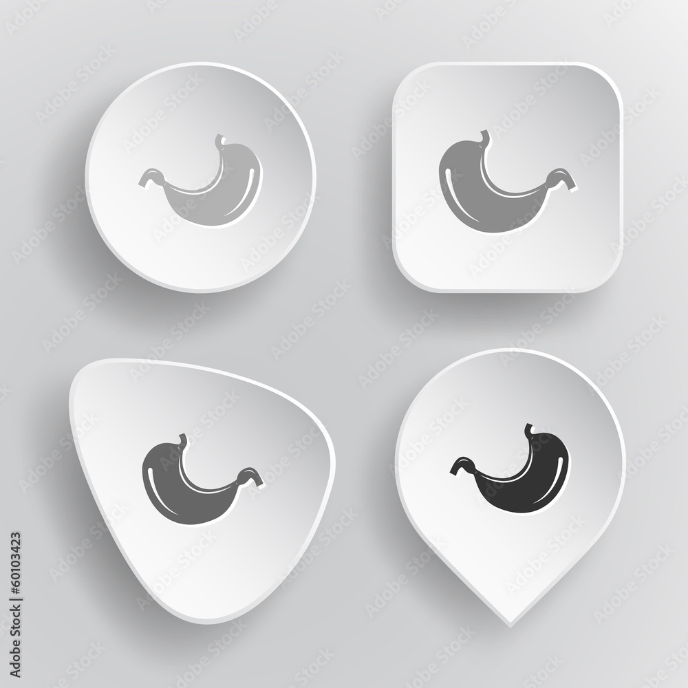 Stomach. White flat vector buttons on gray background. Stomach. White flat vector buttons on gray background.