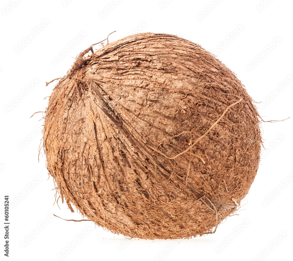 Coconut isolated on white background Coconut isolated on white background