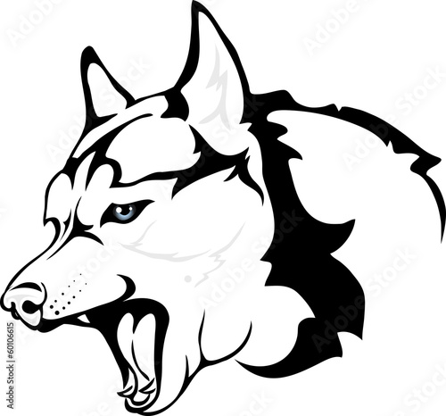 evil Huskies