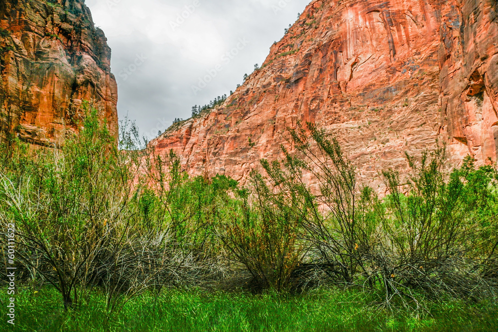 Slopes of Zion canyon