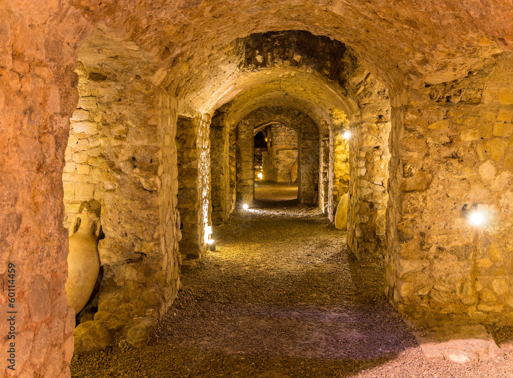 Obraz premium Gallo-Roman stodoła w Narbonne - Francja