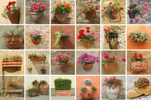 flower containers collection