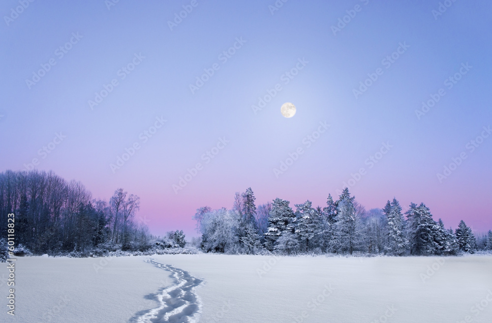 Obraz premium evening winter landscape with full moon