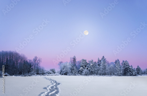 evening winter landscape with full moon