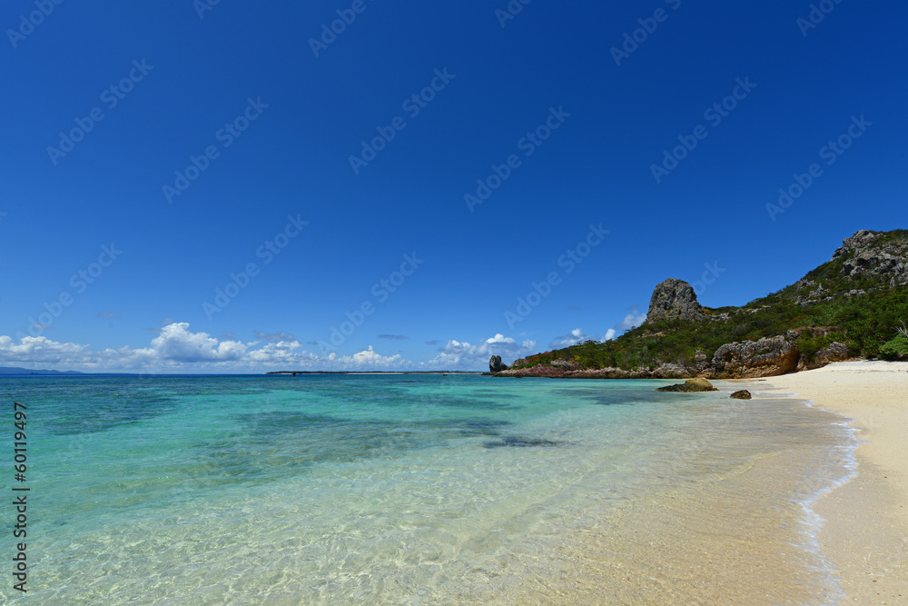 Fototapeta premium 南国の美しいビーチ