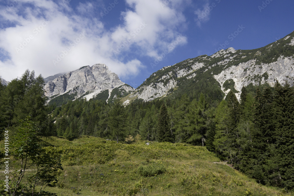 Landscape of the beautiful Julian Alps in Slovenia