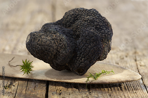 rare and expensive black truffle on wooden background