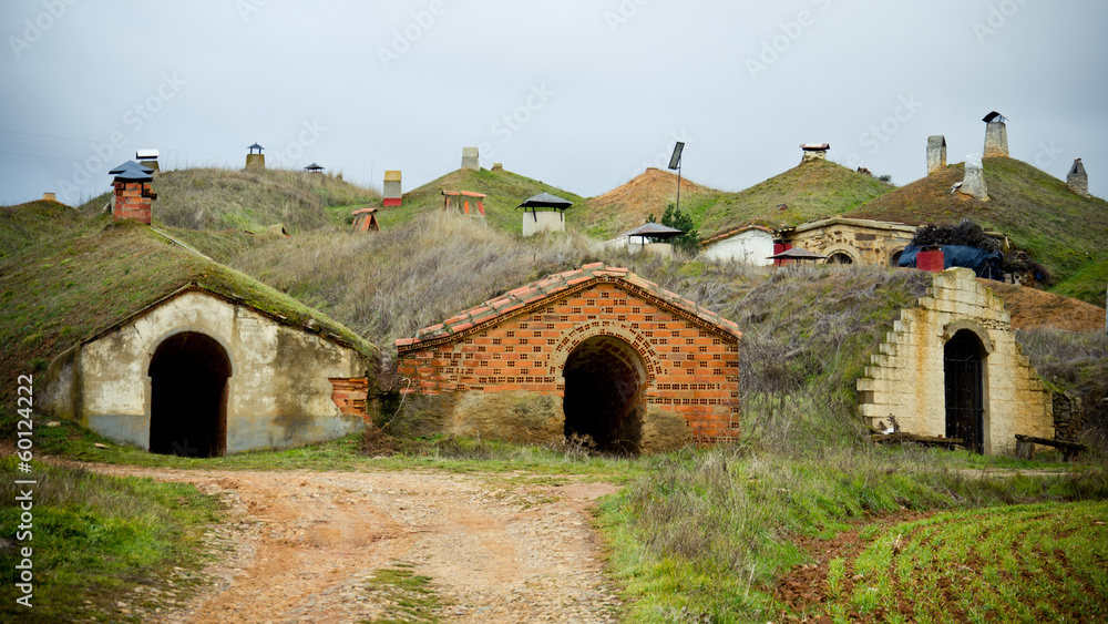 bodegas bodegas