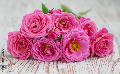 Pink roses