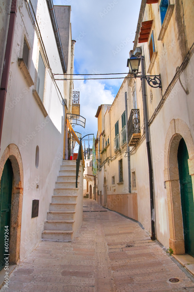 Fototapeta premium Alleyway. Ischitella. Puglia. Italy.