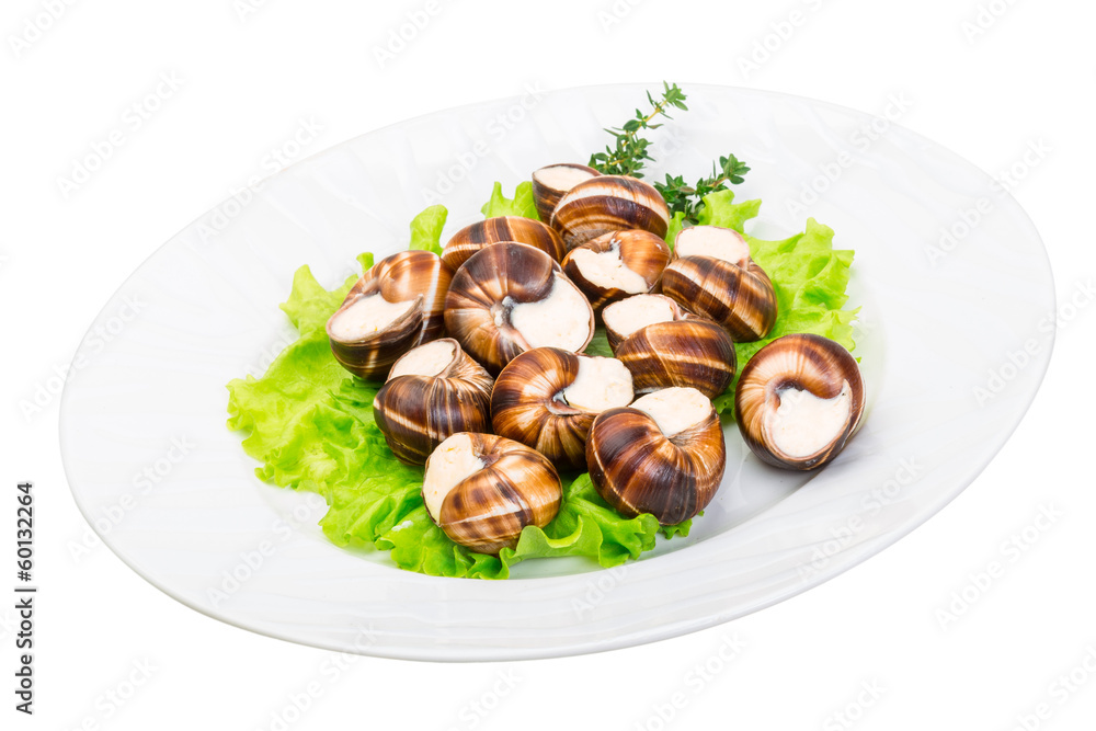Escargot Escargot
