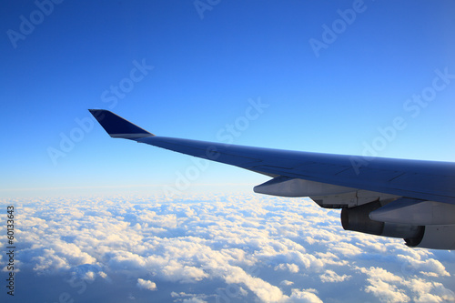 飛行機からの景色