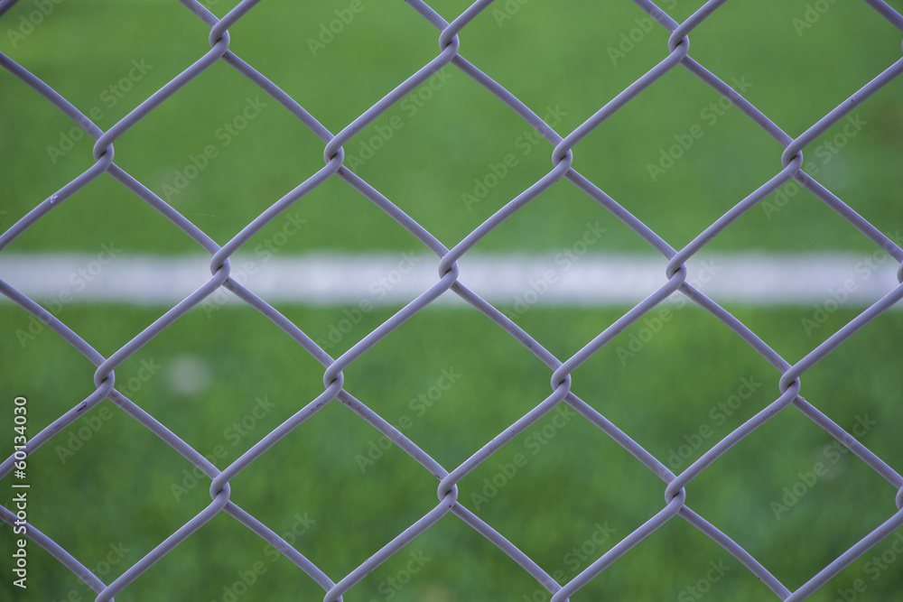 Fototapeta premium net on green grass.