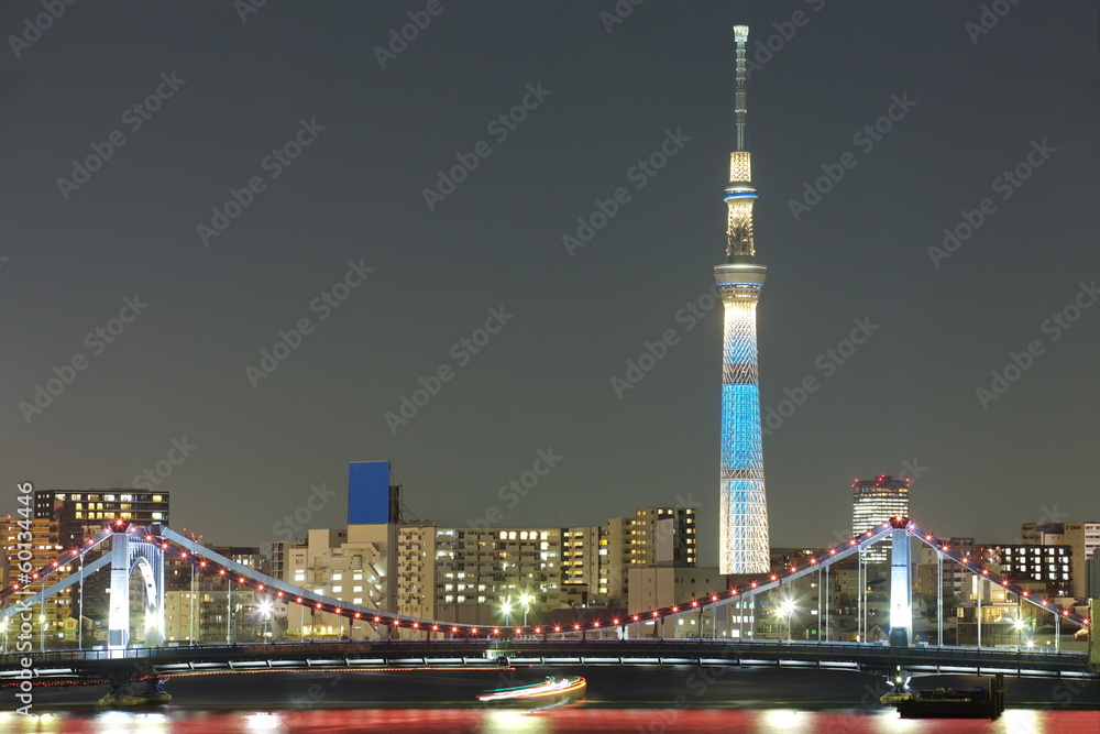 Fototapeta premium TOKYO Sky tree