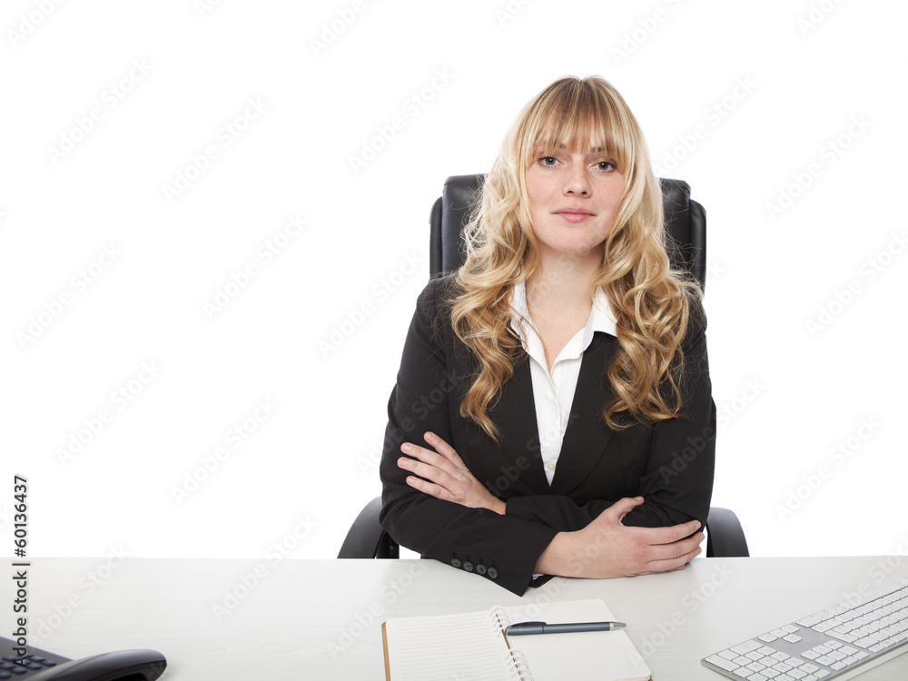 Attractive female business executive Attractive female business executive
