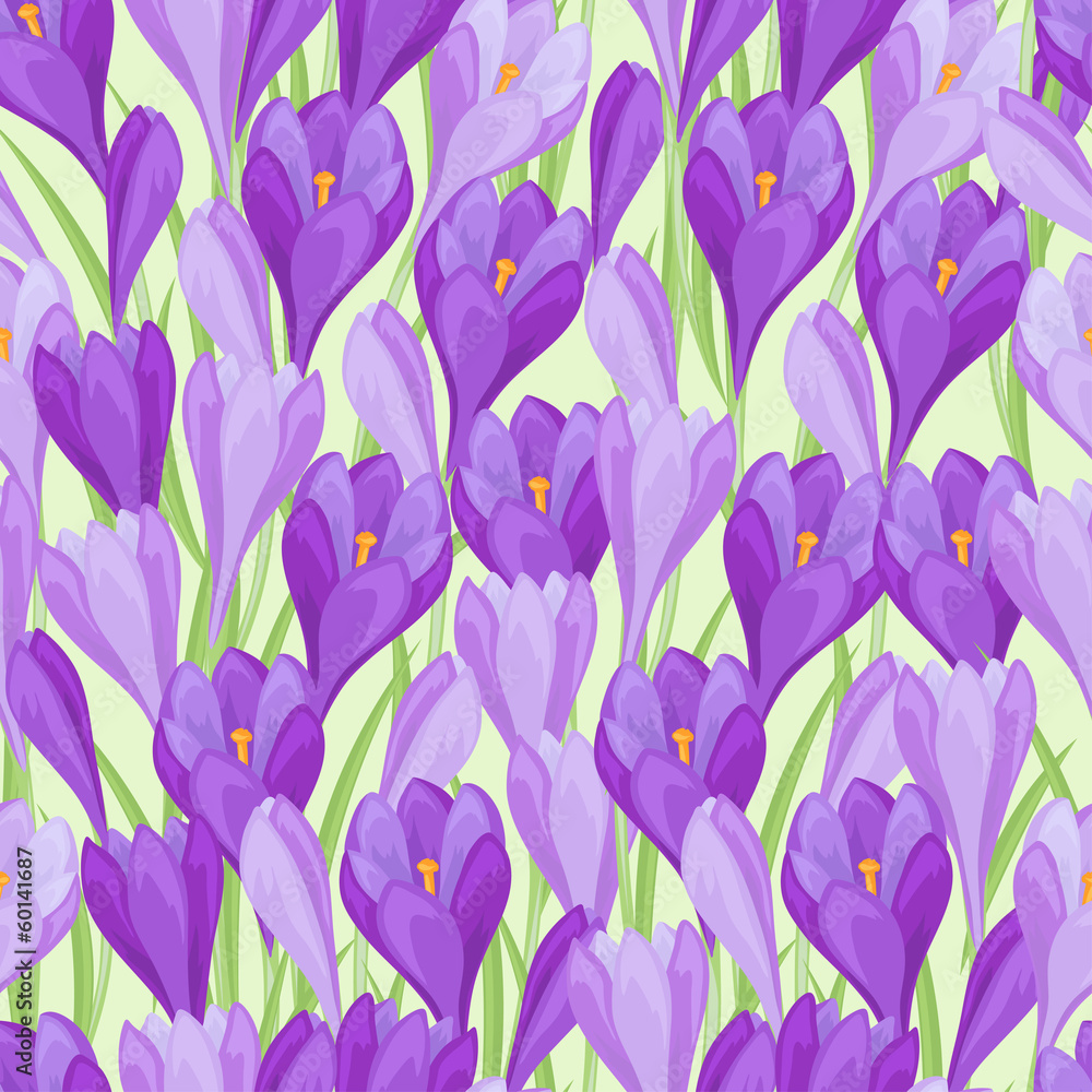 Spring flowers crocus natural seamless pattern. Spring flowers crocus natural seamless pattern.