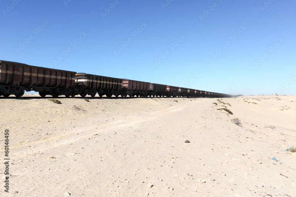 砂漠を行く長大な貨物列車