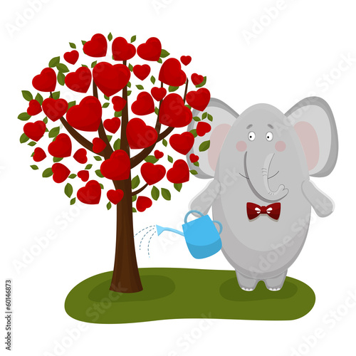 the elephant waters a love tree