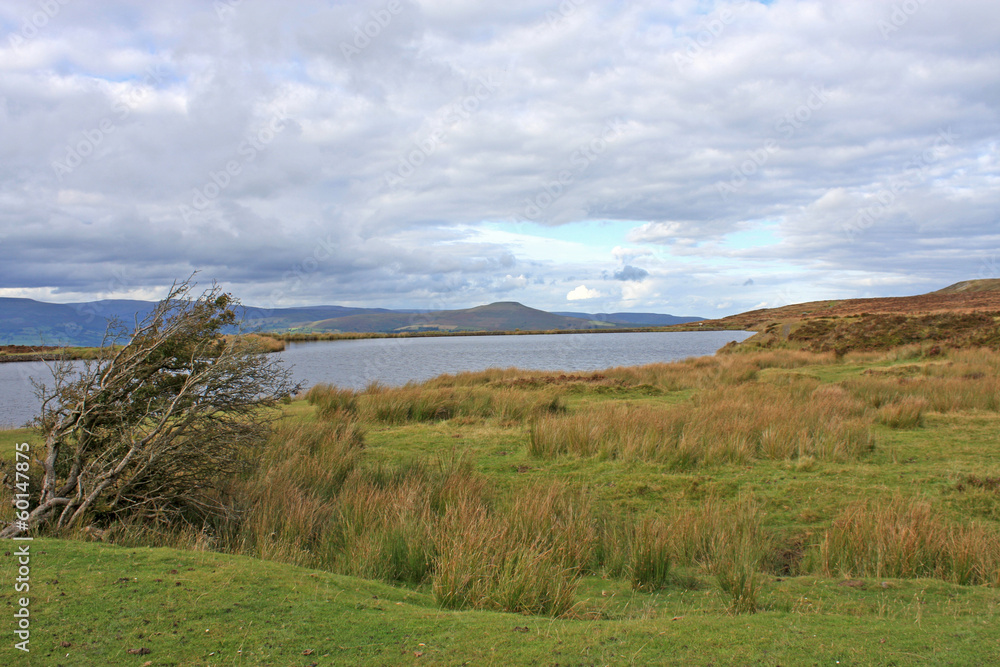 Fototapeta premium Pen-Fford-gogh pond, Wales
