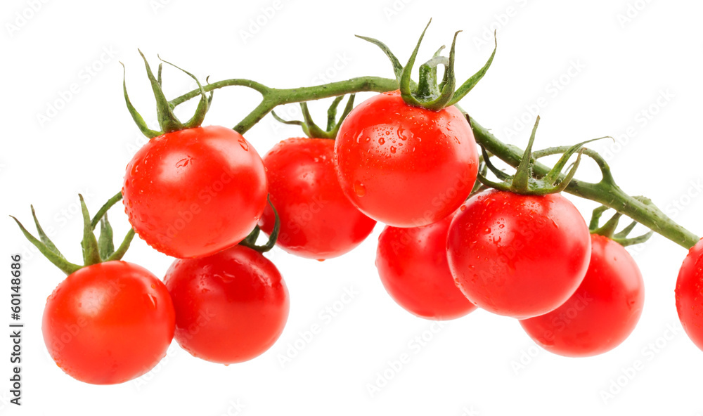 hanging tomatoes on white background