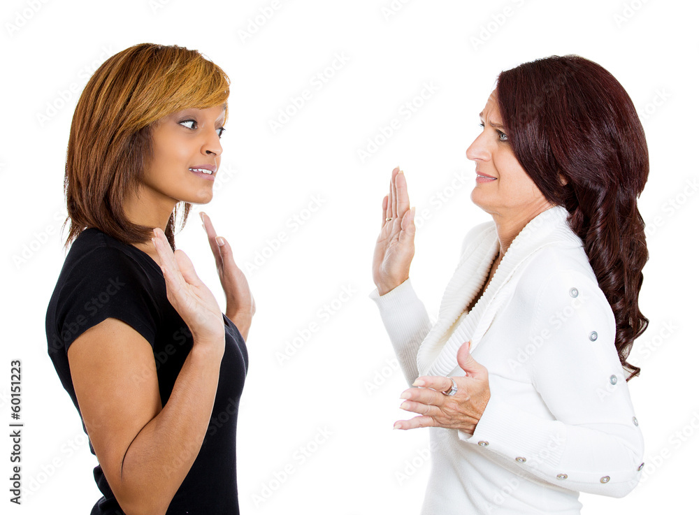 portrait of two angry mad woman fighting complaining each other portrait of two angry mad woman fighting complaining each other