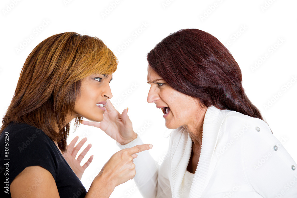 portrait of two angry mad woman fighting complaining each other portrait of two angry mad woman fighting complaining each other