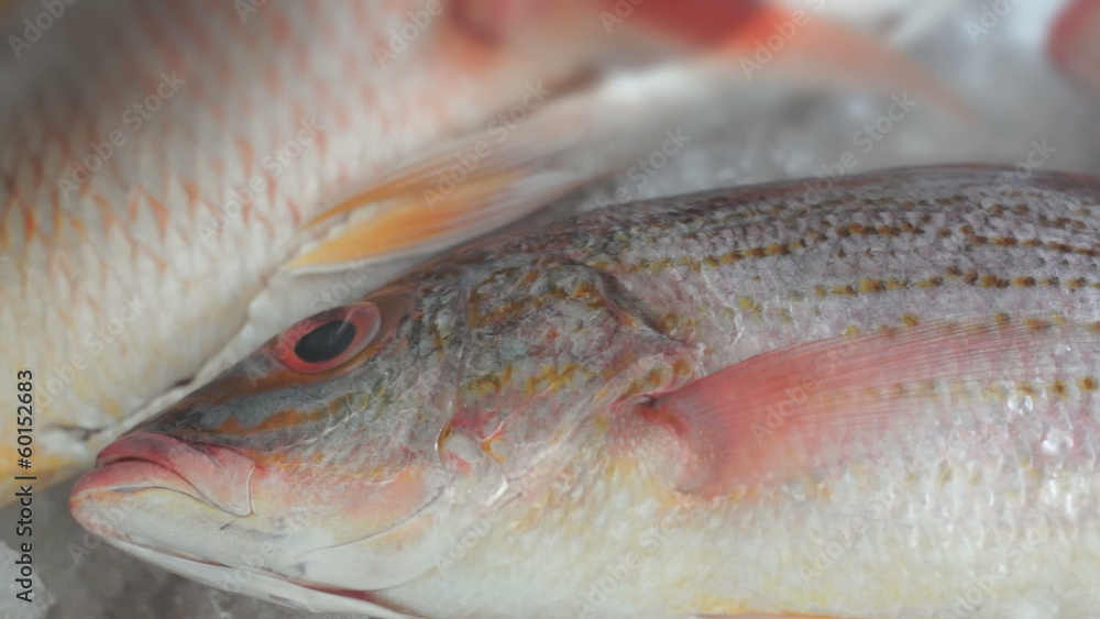 Fish Market Three Red Fish Dolly Fish Market Three Red Fish Dolly
