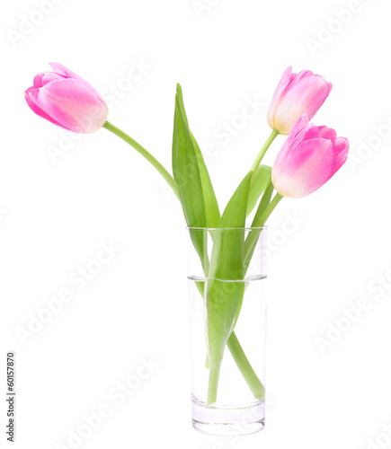Pink tulips bouquet in vase isolated on white background © Natika