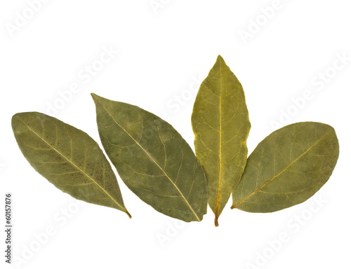 Aromatic bay leaves © Natika