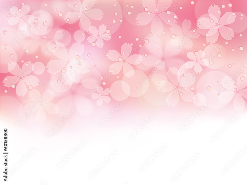 Fototapeta premium 桜_水滴