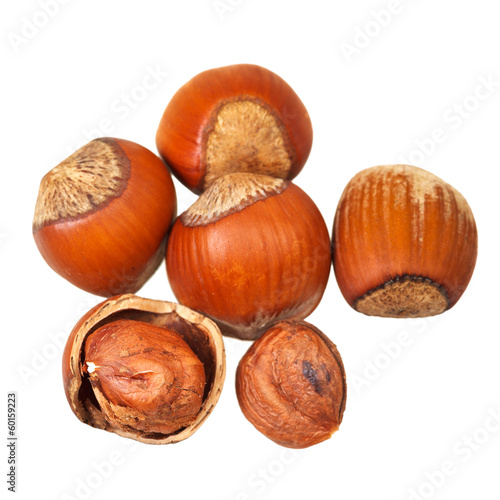 several of hazelnuts close up photo